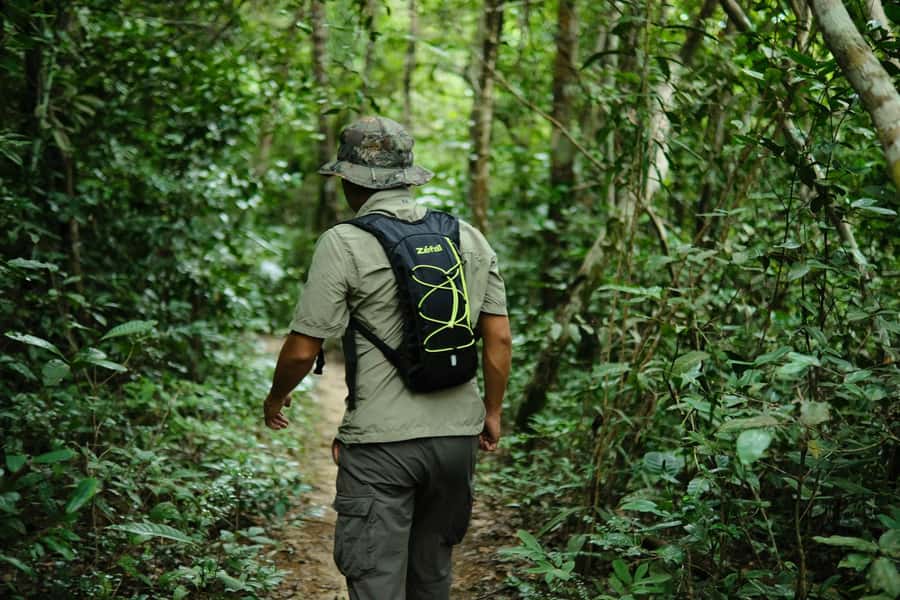 Khao Sok: Private Day Trekking, Jungle Dinner & Night Safari - Key points at a glance