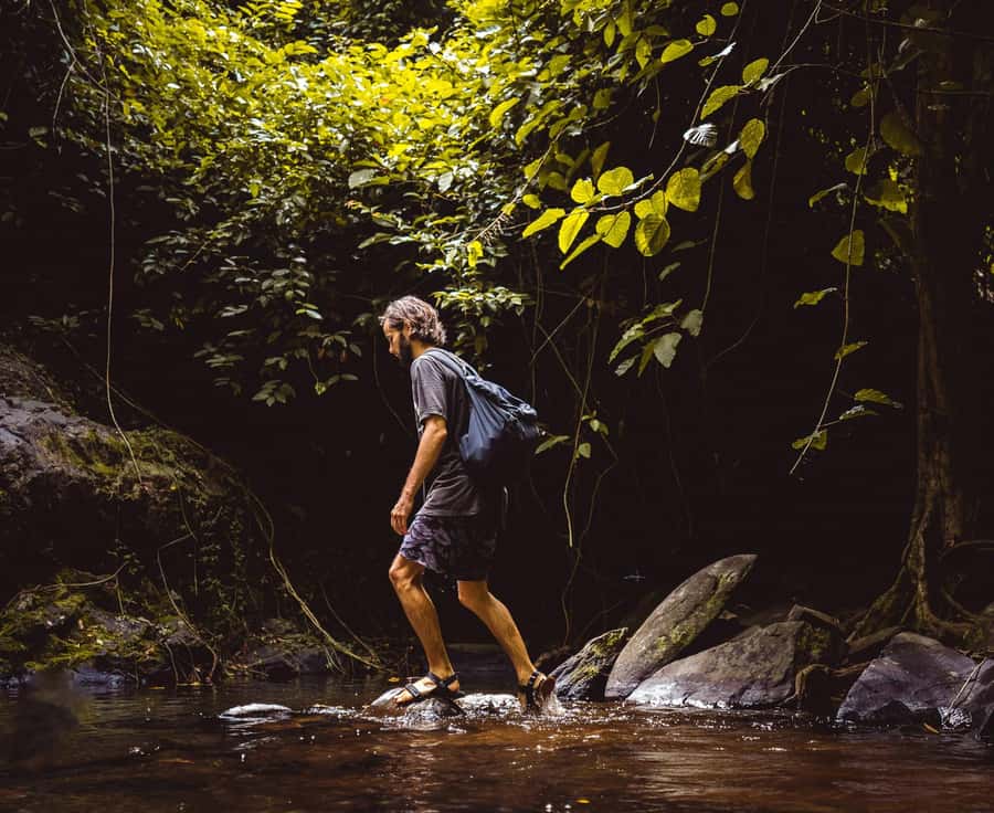 Khao Sok: Private Day Trekking, Jungle Dinner & Night Safari - The bamboo dinner beside the forest