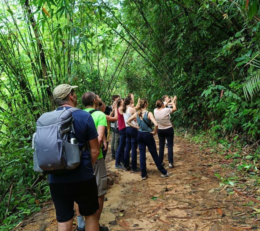 Khao Sok: Private Day Trekking, Jungle Dinner & Night Safari - Night safari: the forest after sunset