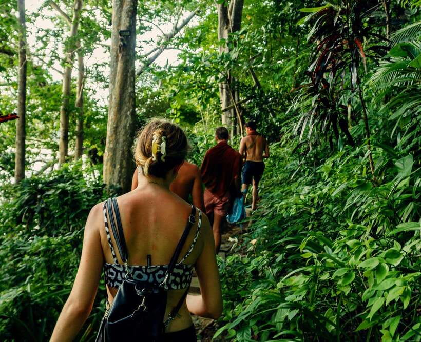 Khao Sok: Private Waterfalls and Wildlife Half-Day Trek - Key points at a glance