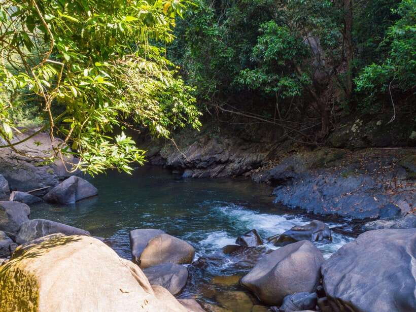 Khao Sok: Private Waterfalls and Wildlife Half-Day Trek - How demanding is the walking?