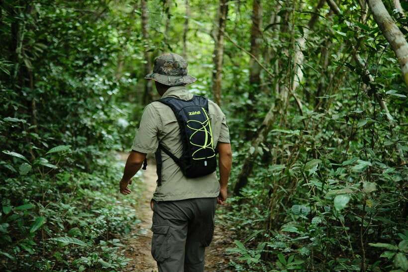Khao Sok: Private Waterfalls and Wildlife Half-Day Trek - What the $48 price really buys