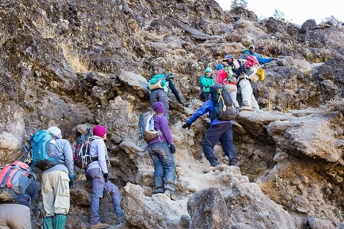 Kilimanjaro 7 Day Private Trekking Experience - Day 3: Lava Tower and Barranco Camp