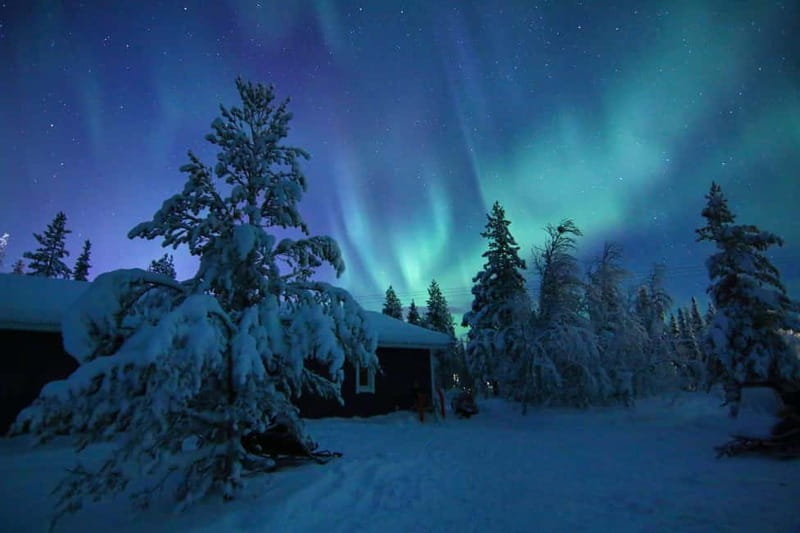Kiruna: Snowshoe Trek with Aurora Hunt and Warm Beverage - Key points before you book
