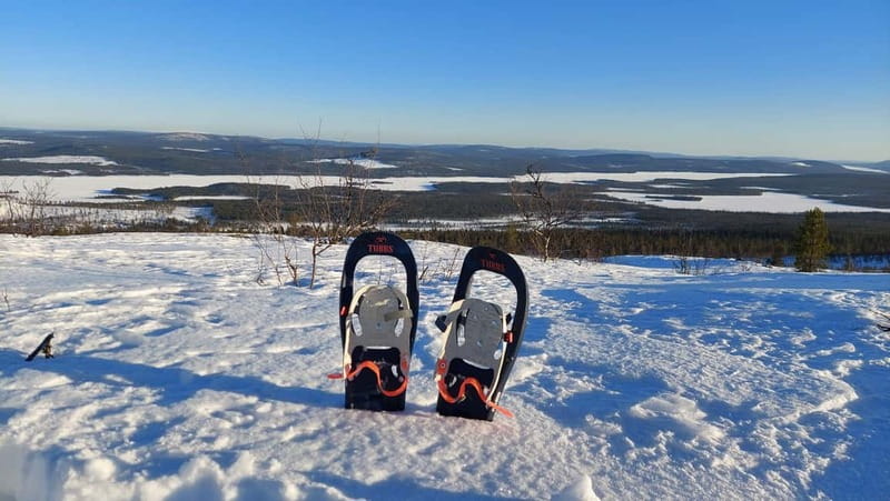 Kiruna: Snowshoe Trek with Warm Beverage and Sandwich - Key points to know before you book