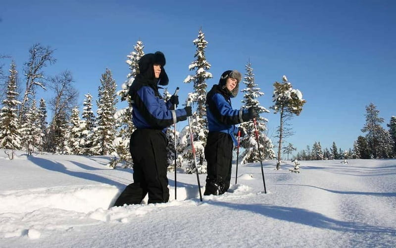 Kiruna: Snowshoe Trek with Warm Beverage and Sandwich - Why this Kiruna snowshoe trek works for beginners