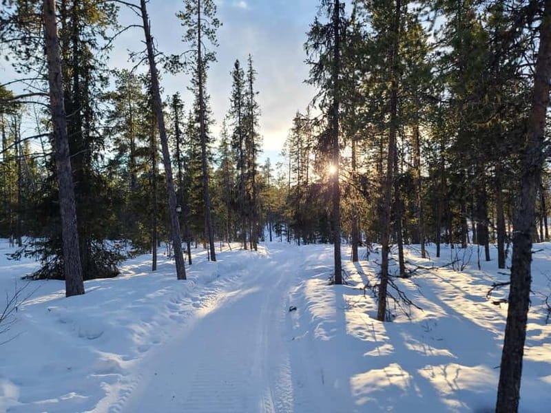 Kiruna: Snowshoe Trek with Warm Beverage and Sandwich - Meeting in Kiruna’s new city centre