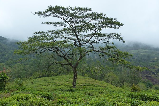 Knuckles Leopard trail Trek from Kandy - The rocky plateau gives the hike its big view