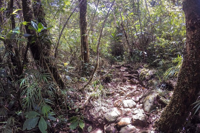 Knuckles Leopard trail Trek from Kandy - How rain changes the experience
