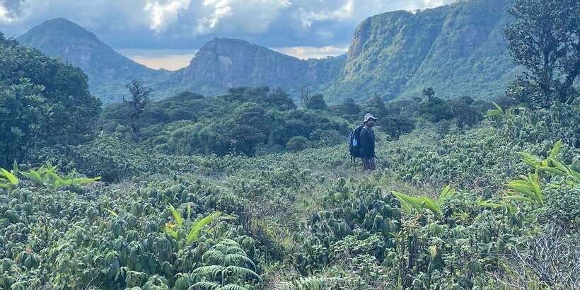 Knuckles Leopard trail Trek from Kandy - What to wear and carry