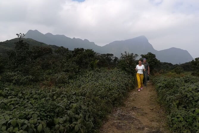 Knuckles Mountain Range Hiking and Trekking Day Tour From Kandy Hotels - Why the Knuckles Range is worth the effort