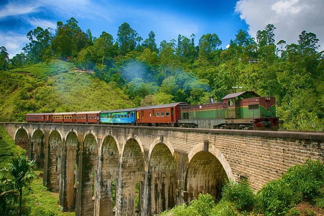 Knuckles Mountain Range Hiking and Trekking Day Tour From Kandy Hotels - What the naturalist guide adds