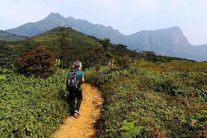 Knuckles Mountain Range Hiking and Trekking Day Tour From Kandy Hotels - Reaching the trailhead around 6:30 a.m.