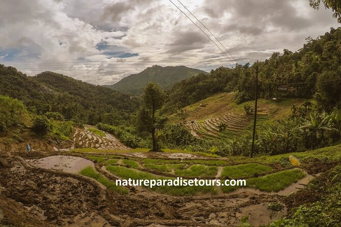 Knuckles Spice Trail Trek from Kandy - Key points to know before booking