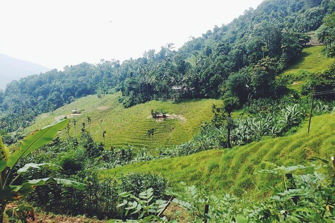 Knuckles Spice Trail Trek from Kandy - The waterfall and natural pool stop