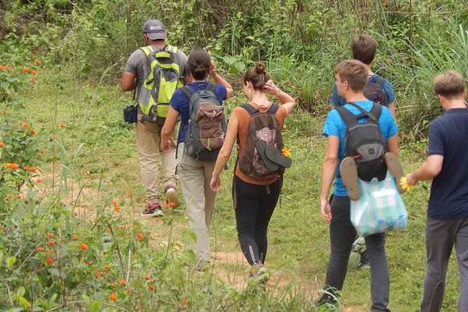 Knuckles Spice Trail Trek from Kandy - Rice terraces and village gardens