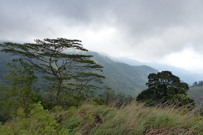 Knuckles Spice Trail Trek from Kandy - Rain, leeches, and the right attitude