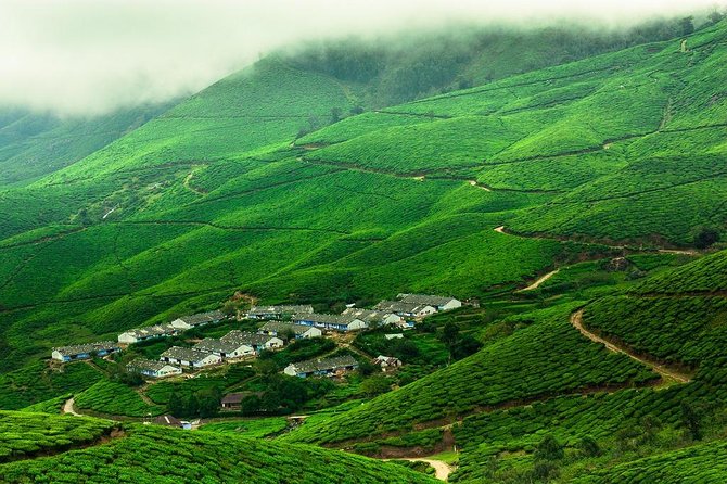 Kolukkumalai Trekking with Night stay in Tent - Key details before you book