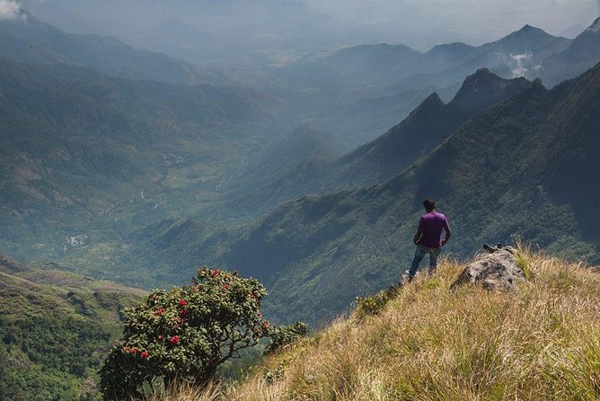 Kolukkumalai Trekking with Night stay in Tent - Leaving Kochi for Kolukkumalai’s high country
