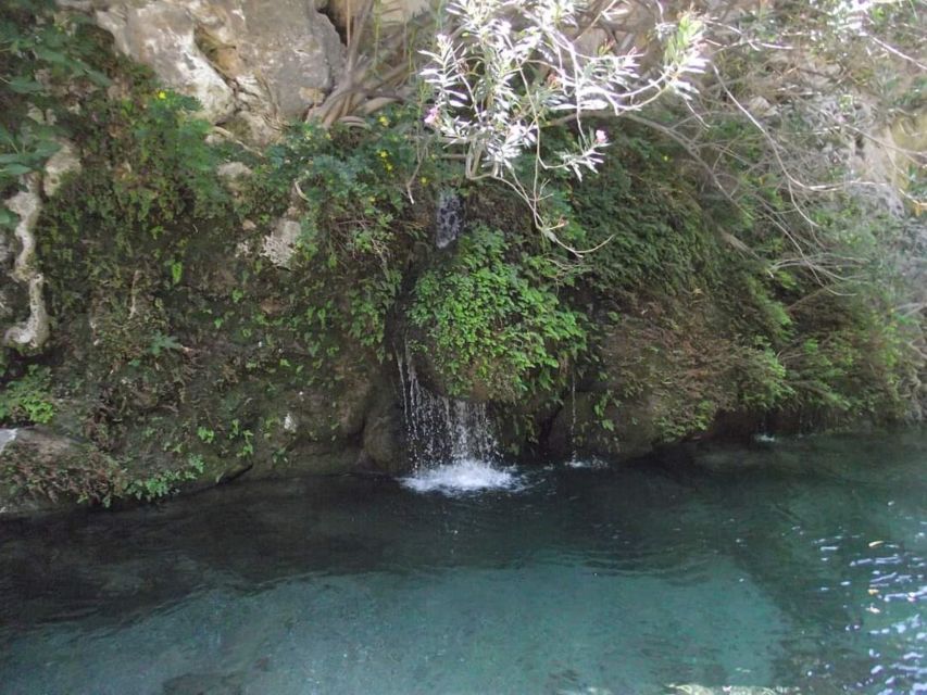 Kourtaliotiko Gorge River Trek with Lunch! Pick-up Avaliable - Who should book this gorge trek?