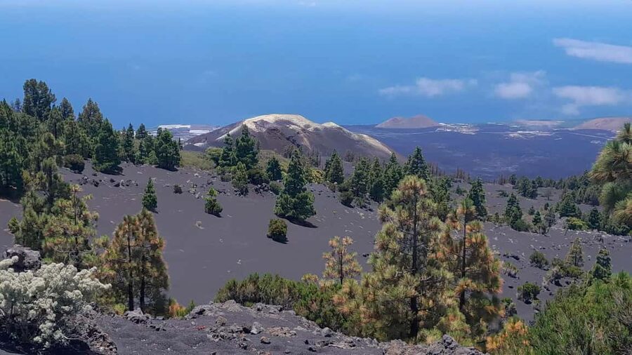 La Palma: Guided e-bike tour (trekking) - Starting in Los Cancajos near the port and airport