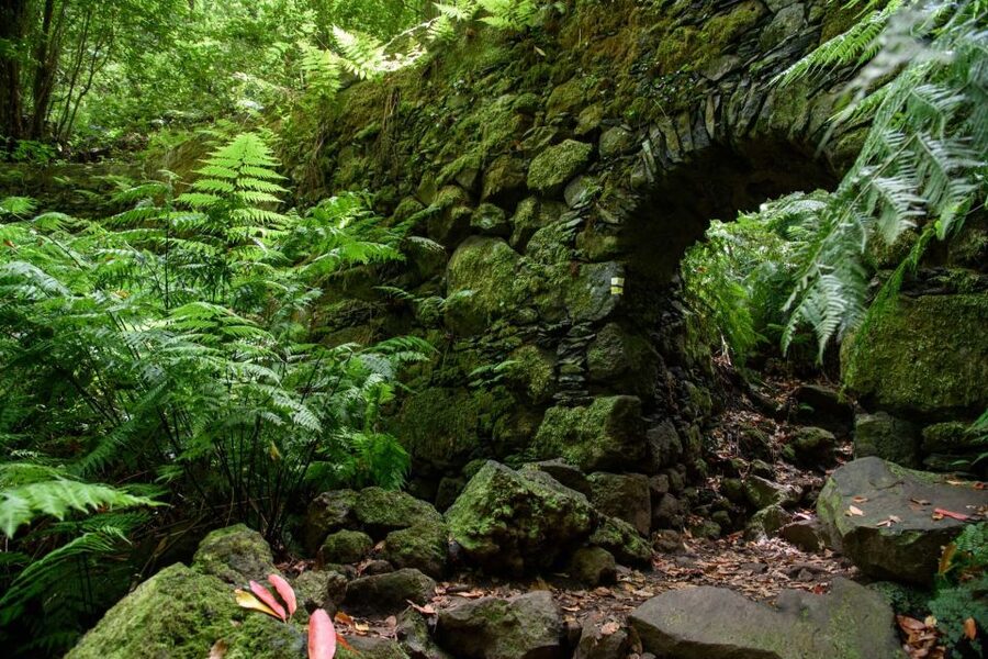 La Palma: Guided Trekking Tour To Cubo de la Galga - Who should book this hike?