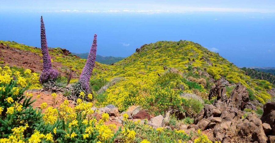 La Palma: Guided Trekking Tour to El Roque de los Muchachos - Roberto’s Wall and Pico de La Cruz