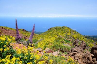 Guided Trekking Tour to El Roque de los Muchachos