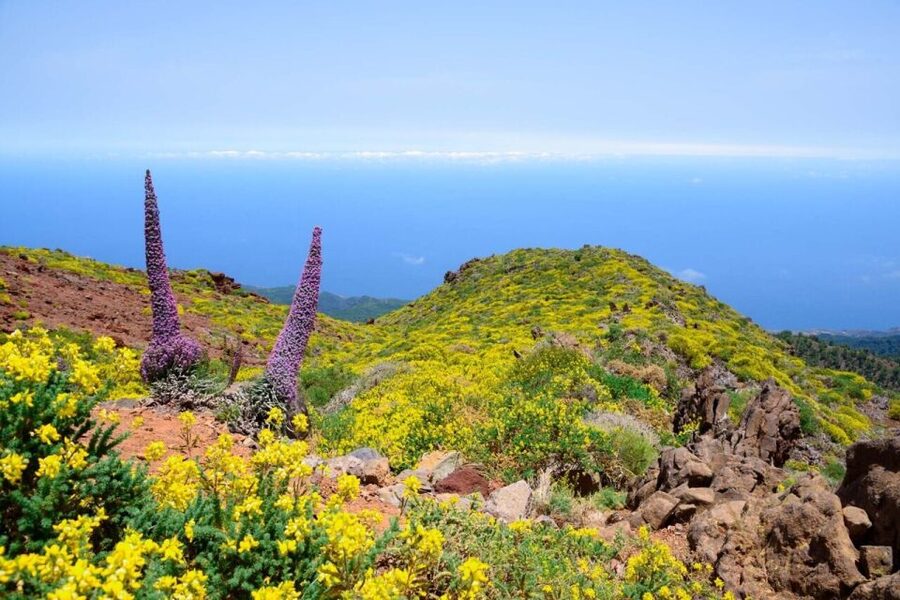 La Palma: Guided Trekking Tour to El Roque de los Muchachos - Walking the ancient route above La Palma