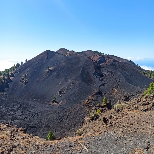 La Palma: Guided trekking tour to volcanoes south - Key points to know before you book