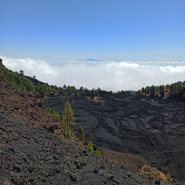 La Palma: Guided trekking tour to volcanoes south - Las Deseadas, the high point of the walk