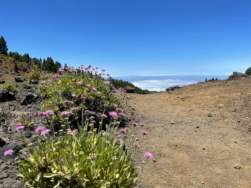 La Palma: Guided trekking tour to volcanoes south - The long descent toward Volcán de Martín
