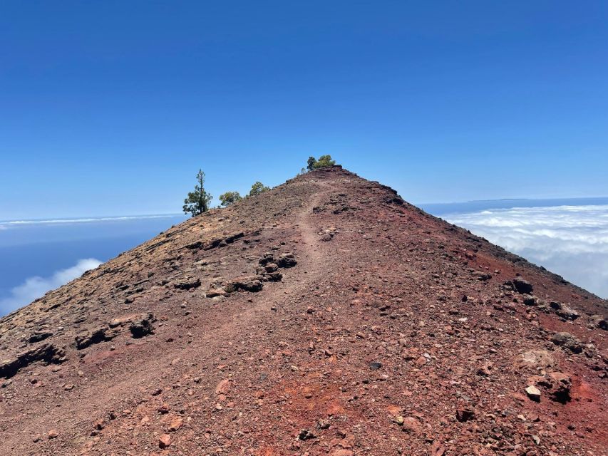 La Palma: Guided trekking tour to volcanoes south - What to bring for an eight-hour volcanic hike