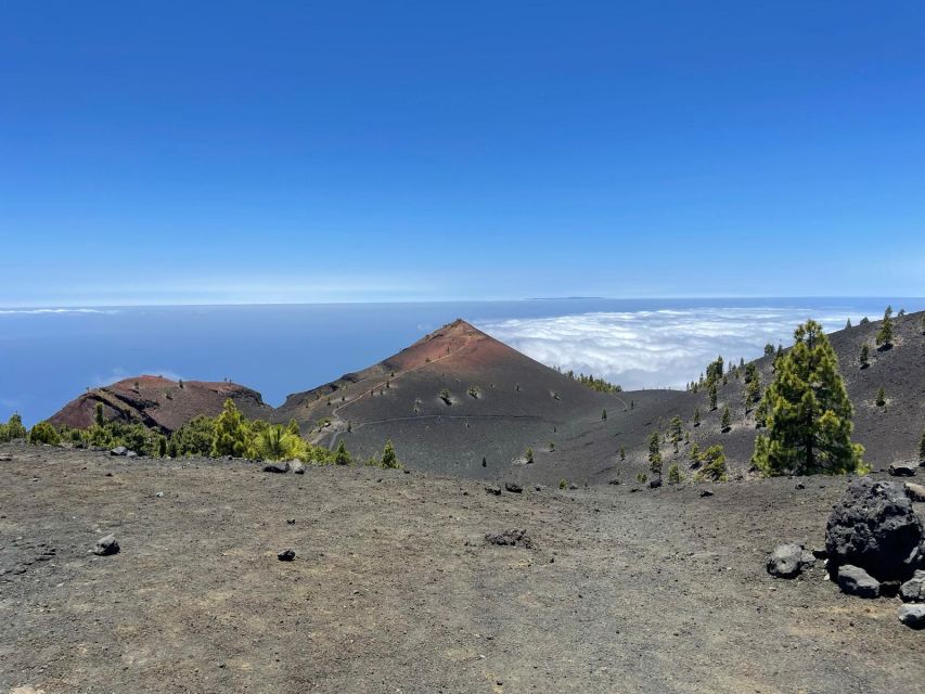 La Palma: Guided trekking tour to volcanoes south - Starting at El Pilar Refuge near the pine forest