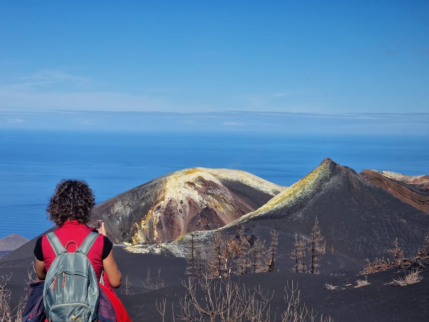La Palma: Tajogaite Volcano Guided Trek - Why Tajogaite feels different from an ordinary volcano walk