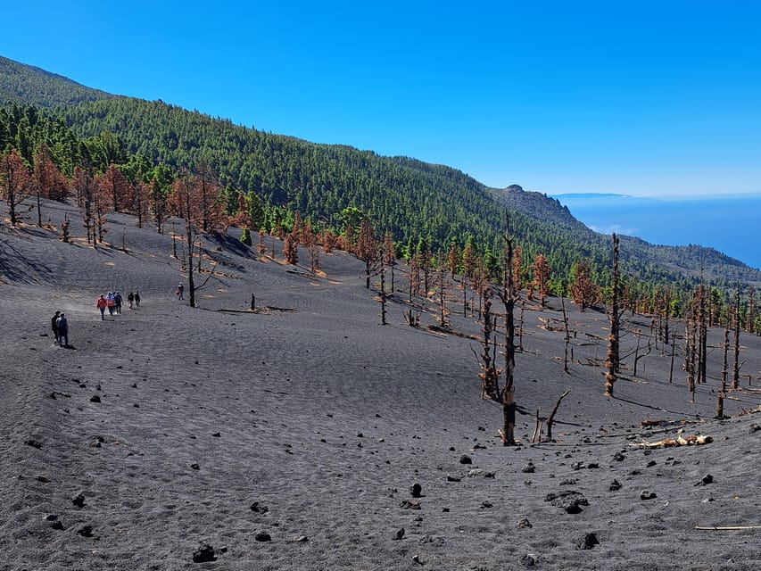 La Palma: Tajogaite Volcano Guided Trek - Starting at Tacande, the burnt mountain