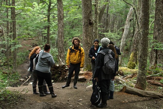 Laguna Esmeralda Trekking Adventure with Lunch - Who should book this hike?