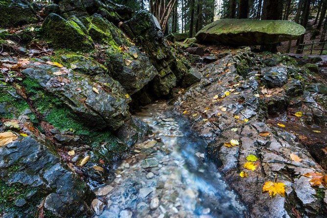 Lake Como trekking private guided tour, from Milan - Guides who shape the day