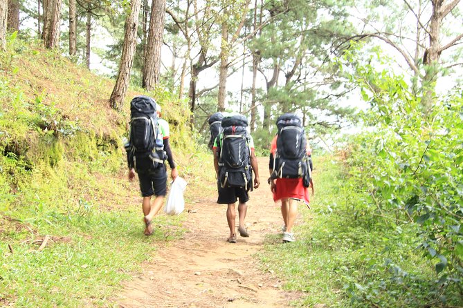 Langbiang Green Trekking Tours - Signature Trekking Da Lat - Climbing through pine forest and jungle