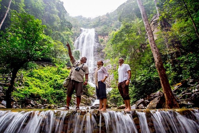 Langkawi Rainforest Jungle Trekking Tour with Private Pickup - Key points before you book