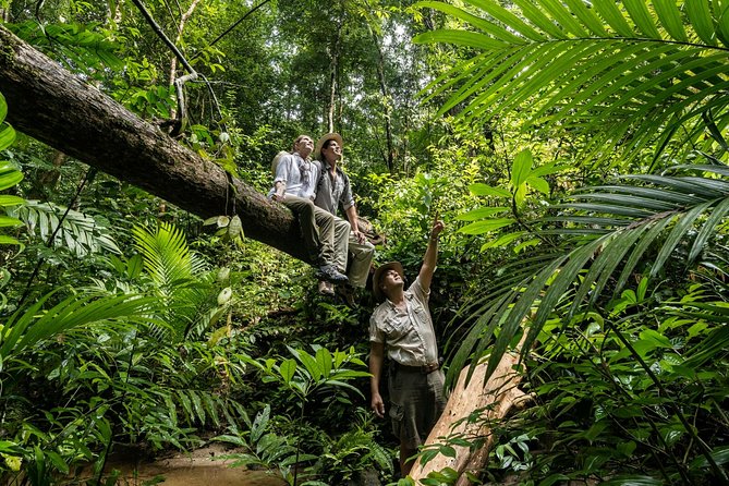 Langkawi Rainforest Jungle Trekking Tour with Private Pickup - A true jungle walk, not a polished trail