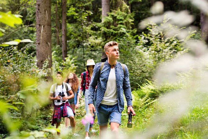 Langkawi Rainforest Jungle Trekking Tour with Private Pickup - Is $115.92 per person fair?