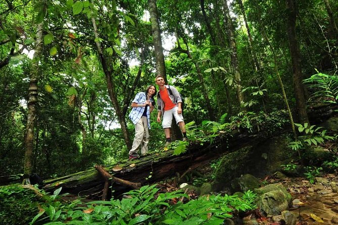 Langkawi Rainforest Jungle Trekking Tour with Private Pickup - A small group, but not necessarily a private trek