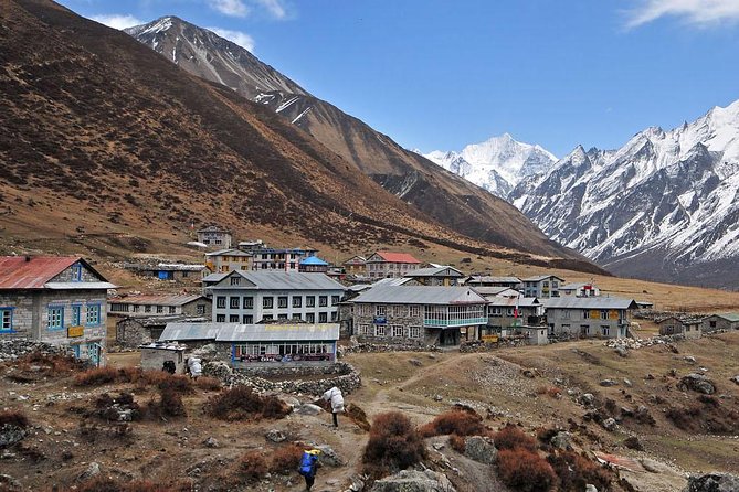 Langtang Valley Trek- 10 Days - Why Langtang works so well from Kathmandu