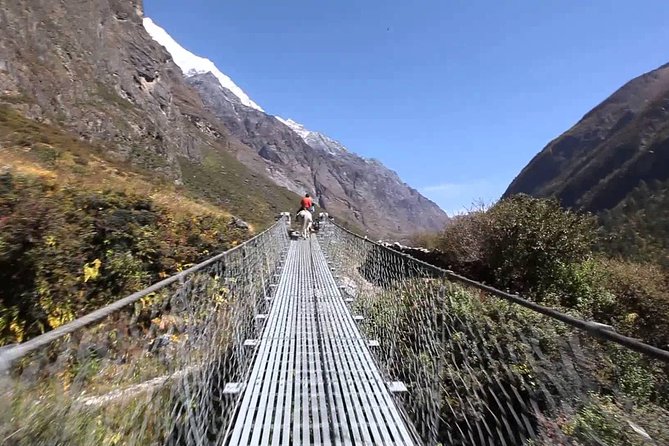 Langtang Valley Trek- 10 Days - Day 6: Acclimatization and Kyanjin Ri
