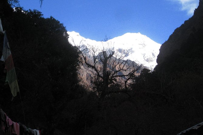 Langtang Valley Trek - Day 4: Ghodatabela and the first major mountain views