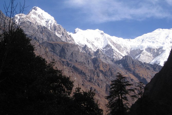 Langtang Valley Trek - Day 5: An easy approach to Kyanjin Gompa