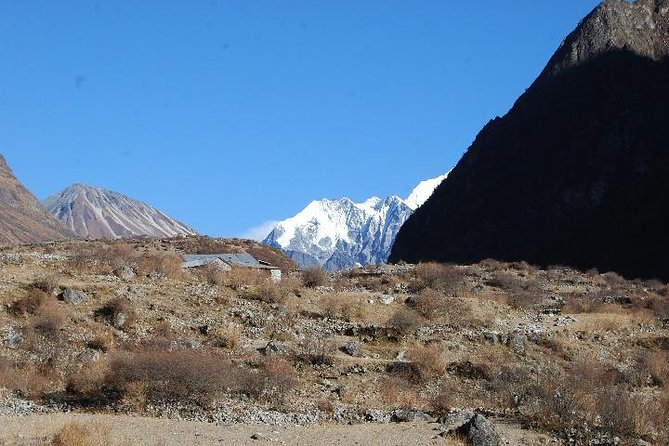 Langtang Valley Trek - 8 Days - Why Langtang works as a shorter Himalayan trek
