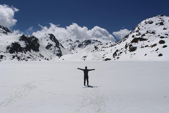 Langtang Valley Trek - Days 7 and 8: Returning through the forest