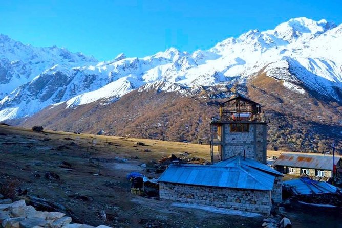 Langtang Valley Trek From Kathmandu - 8 Days - Day 4: Langtang village to Kyangjin Gompa